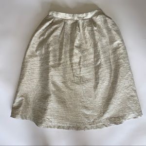 Shabby Apple A Line Skirt Silver Lux Shiny